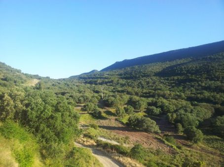 Alins del Monte - Azanuy - Fonz