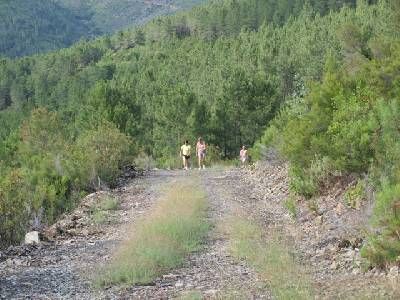 Madroñera de Guijarro Blanco