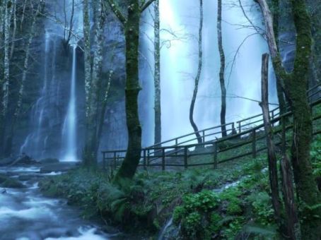 Ruta de La Seimeira - Los Oscos