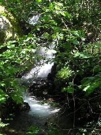 Fuentes Medicinales de Noceda