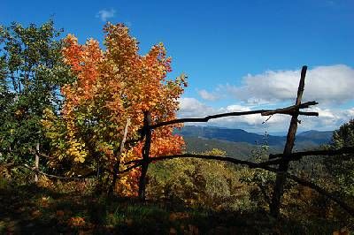 La Cortina , Els Graners , Can Pas , Els Buxaus