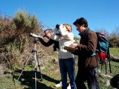 Ruta TRINO: Pueblos y Escarpes (Ruta Ornitológica)