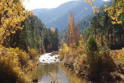 Paseando por el P. Natural Alto Tajo