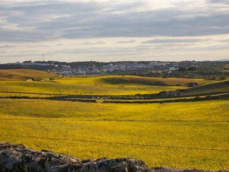 De las cigüeñas y chimeneas