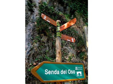 Senda Del Oso
