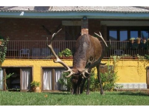 Casa Rural Los Galápagos