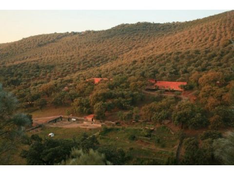 La Caña Del Corchuelo