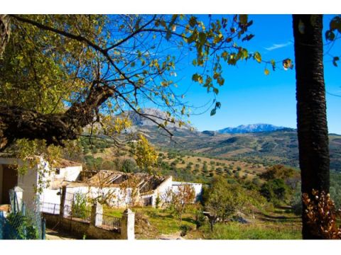 Casa Rural Cortijo Zapata