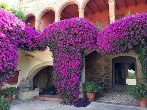 Can Gibert, Apartamentos Rurales