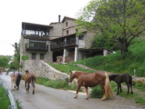 Cal Pero - La Pallissa (2 pers.)