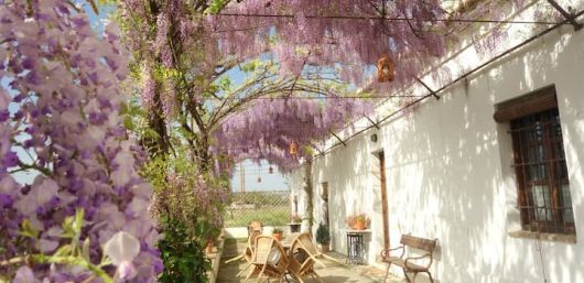 Casa De La Cuadra (Cortijo Del Pino)