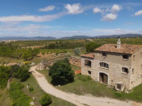 La Masieta