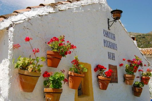 Cortijo Pulgarin Bajo