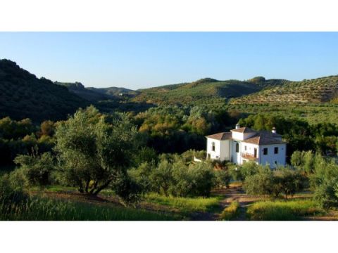 Casa Olea