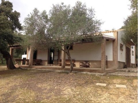 Casa Rural Los Murtales