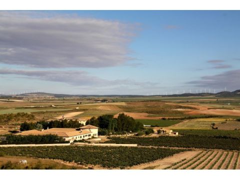 Hotel Enoturismo Mainetes