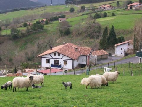 Kasa Barri