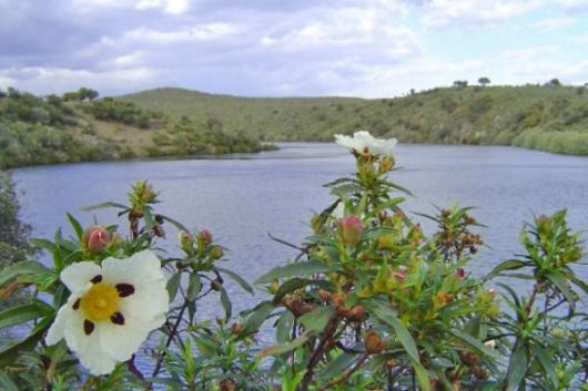 Casa Rural Abuela Maxi