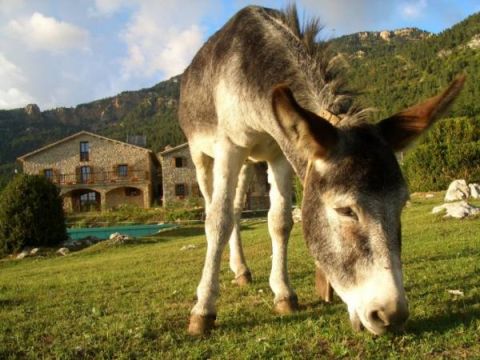 Masia Can Puigventós