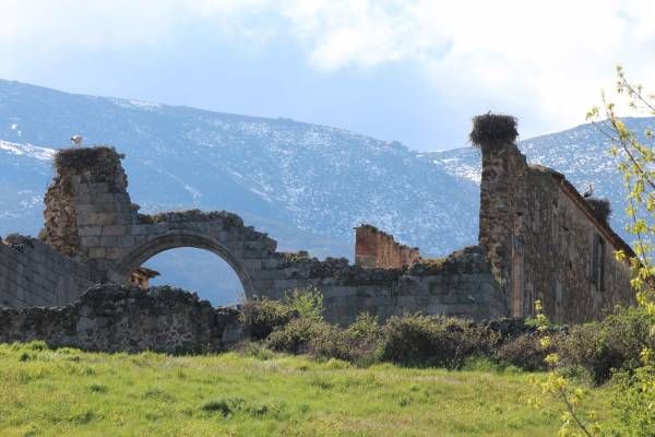 El Señorío de Alba