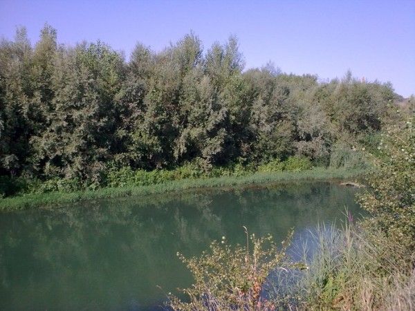 Alins del Monte - Azanuy - Fonz