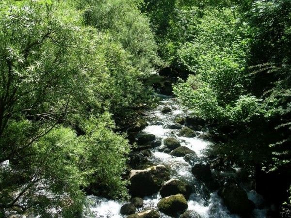 Nacimiento del Río Asón