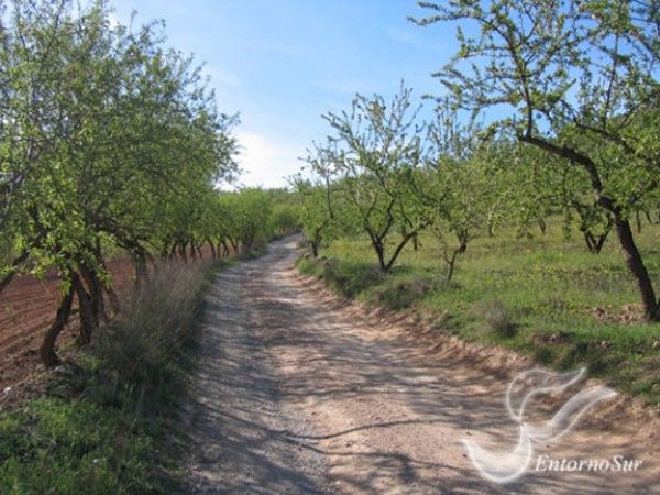 Ruta Acequia de los Arcos
