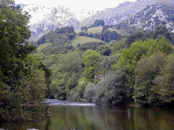 Nacimiento del Río Asón