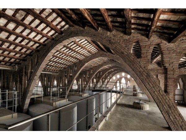 La Llanura Central del Alt Camp