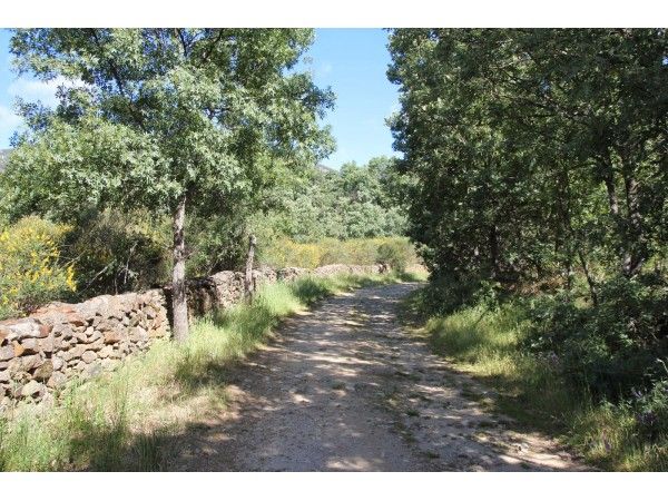 La Chorrera de San Mamés