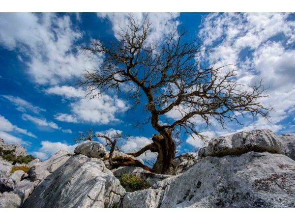 Ruta Salto del Cabrero