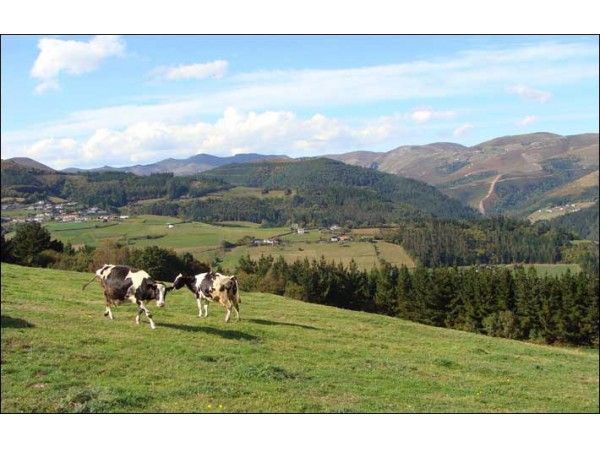 Senda Verde Del Brezo