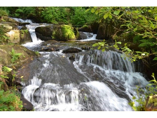 Ruta de la Piedra y el Agua