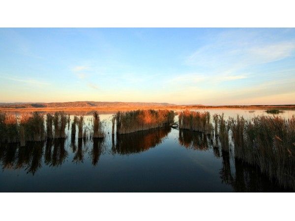 La Laguna de Pitillas