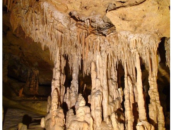 Coves de Benifallet