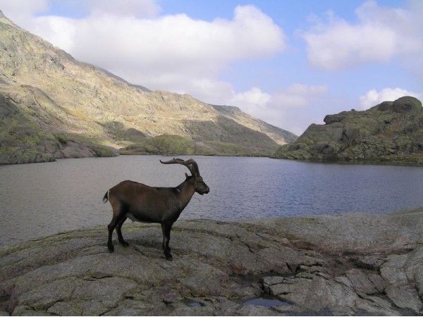 La Laguna de Gredos