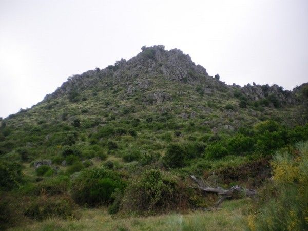 Ascenso al Pico de San Gregorio (Santa Cruz)