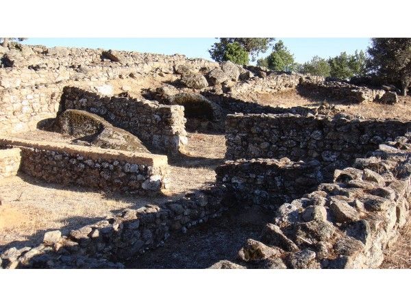 Castro Celta El Raso