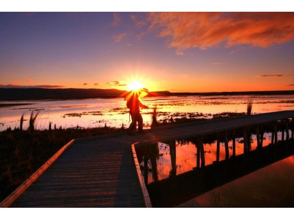 La Laguna de Pitillas