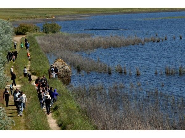 La Laguna de Pitillas