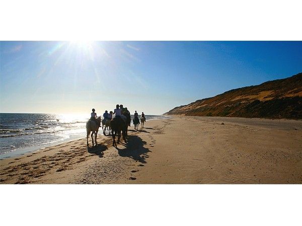 Parque Natural De Doñana a caballo
