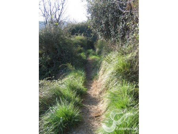 Ruta Acequia de los Arcos