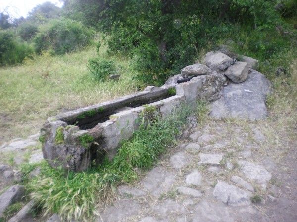 Ascenso al Pico de San Gregorio (Santa Cruz)