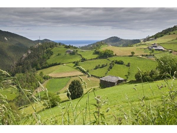 Ruta de la Costa Naviega