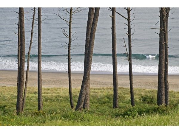 Ruta de la Costa Naviega