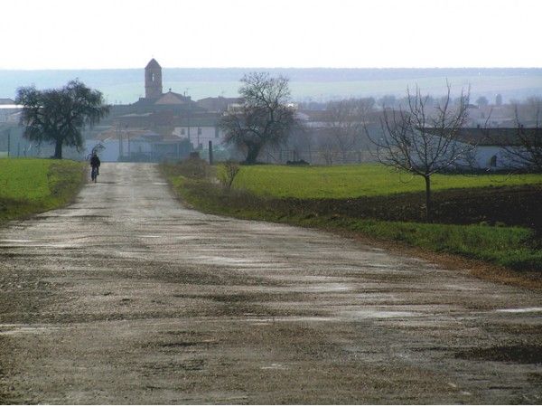 Ruta Visigoda de Arisgotas