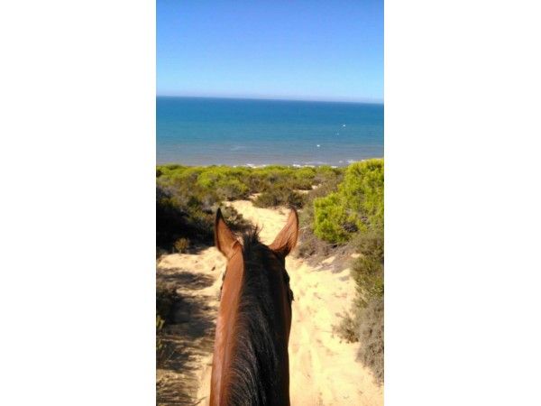 Parque Natural De Doñana a caballo