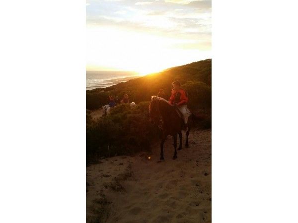 Parque Natural De Doñana a caballo