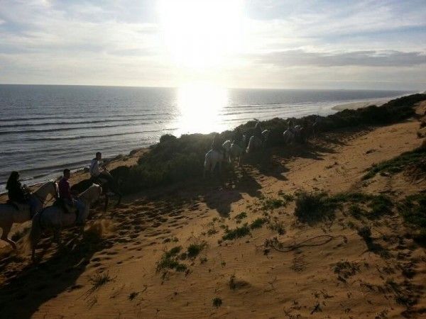 Parque Natural De Doñana a caballo