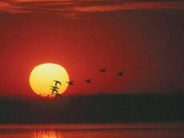 Las Albuferas De Adra